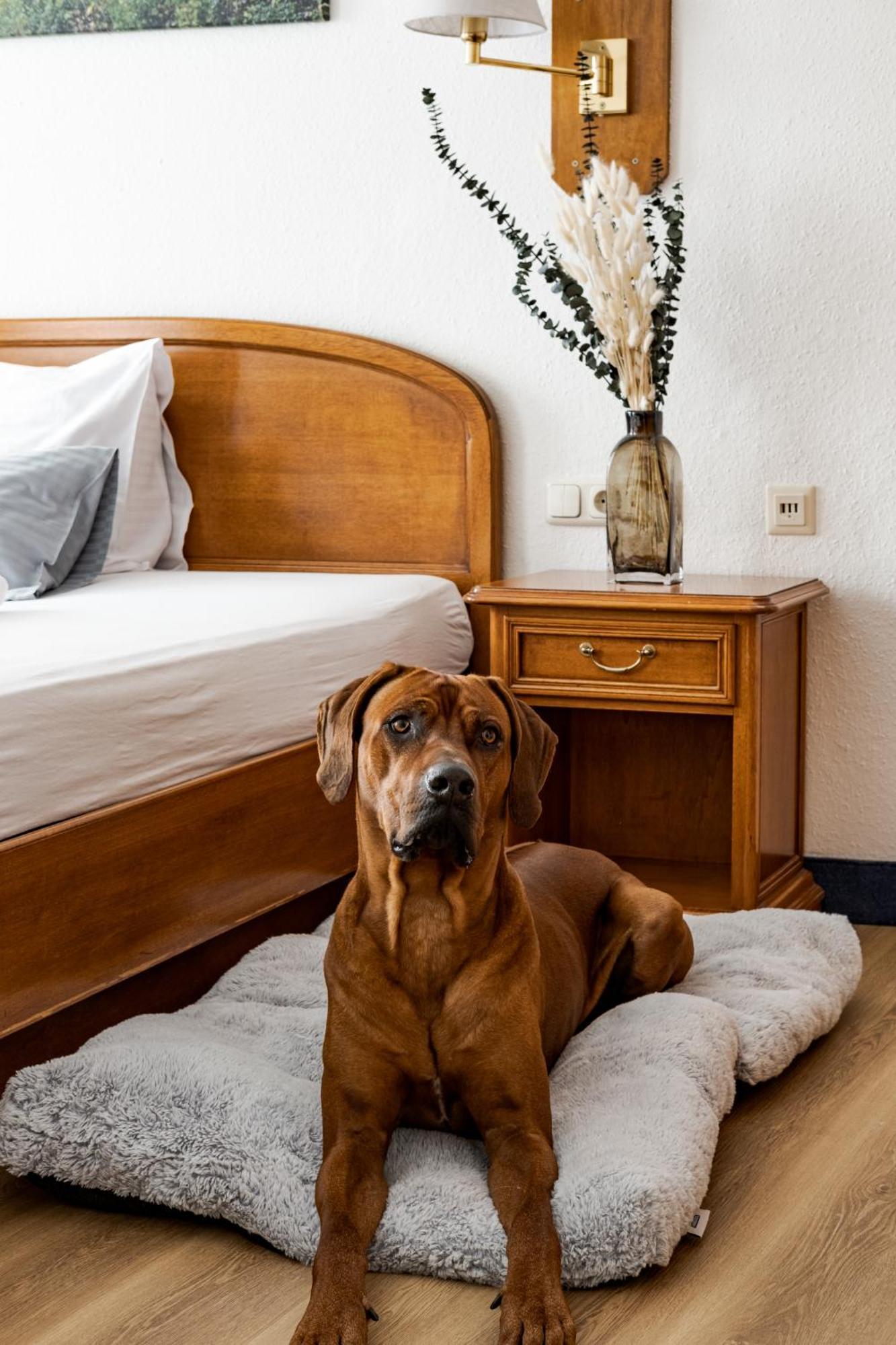 Hotel Goldener Hirsch Kaufbeuren Eksteriør billede
